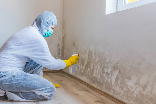 Commercial Mold Remediation assessment for commercial property in Waldorf